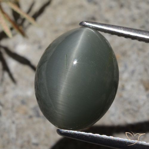 7.32ct 天然 深灰色 石英猫眼, 椭圆形, 不透明