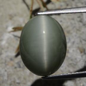 7.21克拉天然石英猫眼，椭圆形切割，不透明