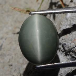 5.29克拉天然石英猫眼，椭圆形切割，不透明