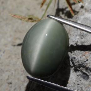 5.29克拉天然石英猫眼，椭圆形切割，不透明