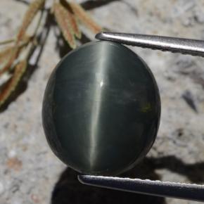 6.15克拉天然石英猫眼，椭圆形切割，不透明