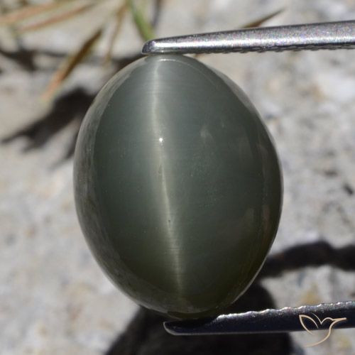 8.10ct 天然 深灰色 石英猫眼, 椭圆形, 不透明