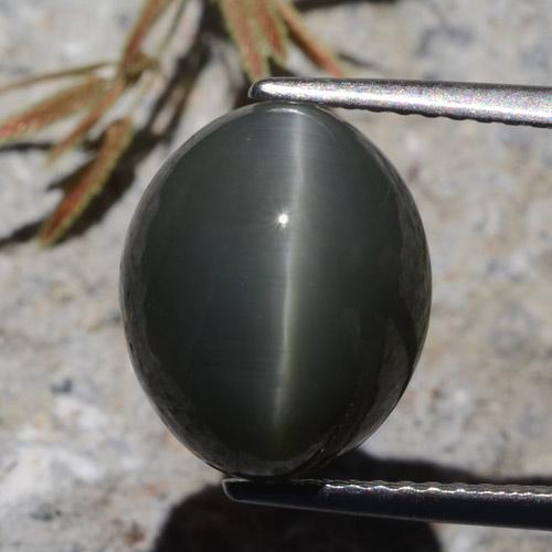 7.26克拉天然石英猫眼，椭圆形切割，不透明