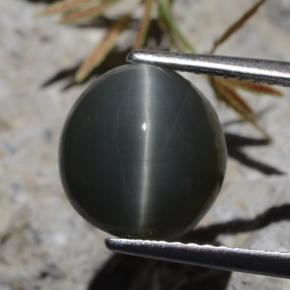 5.62克拉天然石英猫眼，椭圆形切割，不透明