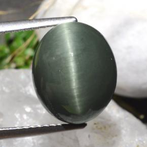 7.61克拉天然石英猫眼，椭圆形切割，不透明