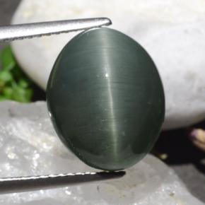 9.50克拉天然石英猫眼，椭圆形切割，不透明