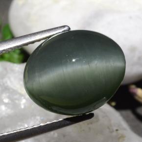 9.50克拉天然石英猫眼，椭圆形切割，不透明