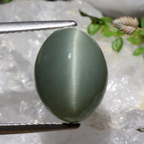 7.17克拉天然石英猫眼，椭圆形切割，不透明