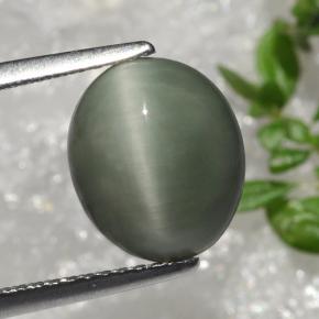 3.66克拉天然石英猫眼，椭圆形切割，不透明