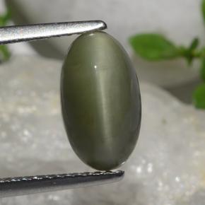 2.64克拉天然石英猫眼，椭圆形切割，不透明