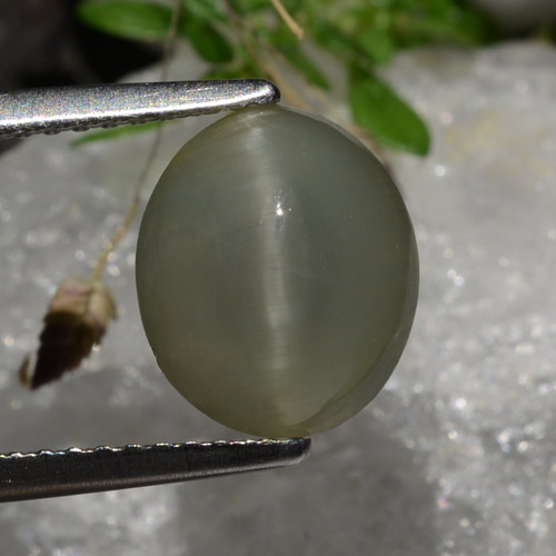 2.99克拉天然灰色Quartz Cat's Eye，椭圆形切割，9.8×8.3毫米，半透明