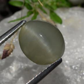 2.99克拉天然灰色Quartz Cat's Eye，椭圆形切割，9.8×8.3毫米，半透明