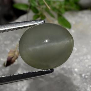 2.99克拉天然灰色Quartz Cat's Eye，椭圆形切割，9.8×8.3毫米，半透明