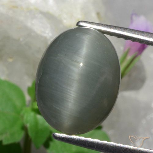 4.89ct 天然 中灰色 石英猫眼, 椭圆形, 不透明