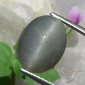 4.89克拉天然石英猫眼，椭圆形，不透明