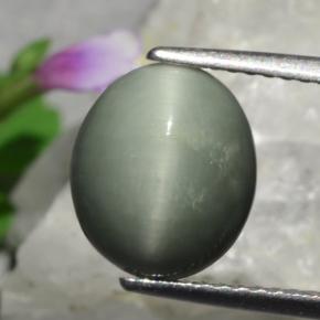 3.01克拉天然绿色Quartz Cat's Eye，椭圆形切割，10.3×8.8毫米，不透明