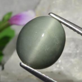 3.01克拉天然绿色Quartz Cat's Eye，椭圆形切割，10.3×8.8毫米，不透明