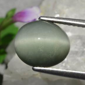 3.01克拉天然绿色Quartz Cat's Eye，椭圆形切割，10.3×8.8毫米，不透明