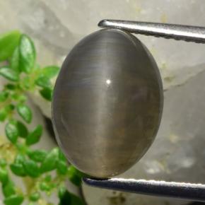 5.37克拉天然棕色Quartz Cat's Eye，椭圆形切割，12.3×9.2毫米，半透明