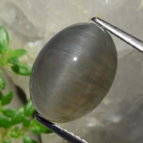 5.37克拉天然棕色Quartz Cat's Eye，椭圆形切割，12.3×9.2毫米，半透明