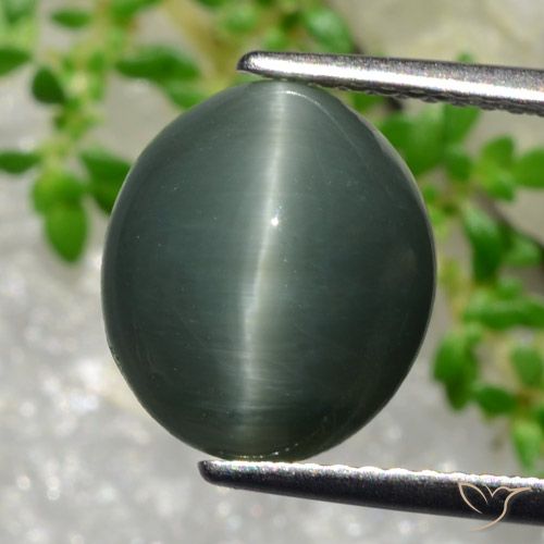 5.66克拉天然石英猫眼，椭圆形切割，不透明