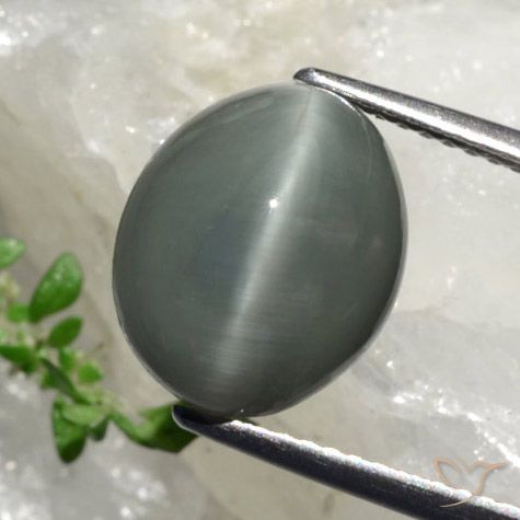 6.17克拉天然石英猫眼，椭圆形切割，不透明