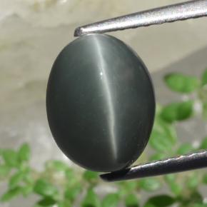 2.63克拉天然石英猫眼，椭圆形切割，不透明