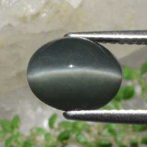 2.63克拉天然石英猫眼，椭圆形切割，不透明