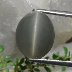 8.58克拉天然石英猫眼，椭圆形切割，不透明