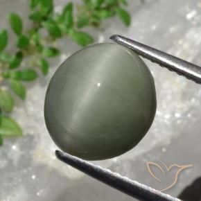 4.44克拉天然石英猫眼，椭圆形，不透明