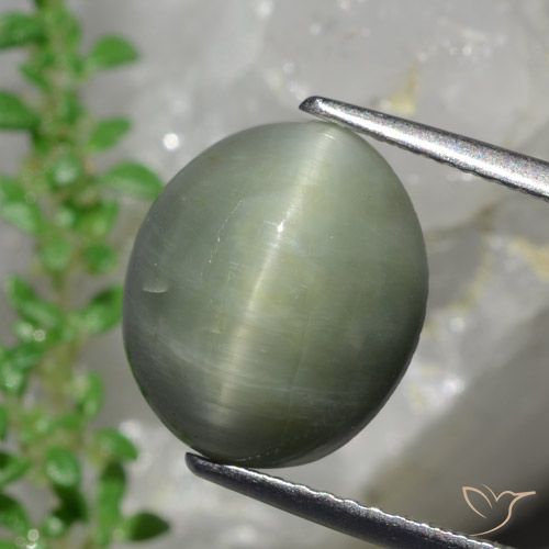 6.13ct 天然 中绿色 石英猫眼, 椭圆形, 不透明