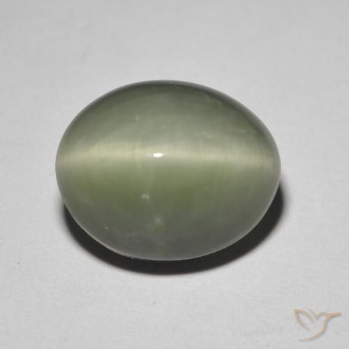5.26克拉天然绿色Quartz Cat's Eye，椭圆形切割，11.6×9.4毫米，不透明