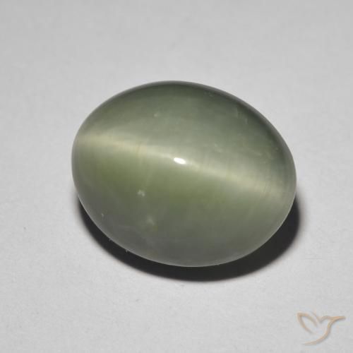 5.26克拉天然绿色Quartz Cat's Eye，椭圆形切割，11.6×9.4毫米，不透明
