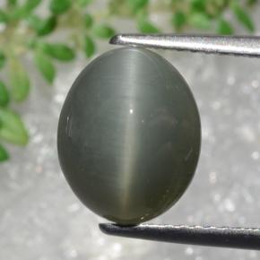 3.22克拉天然石英猫眼，椭圆形切割，不透明