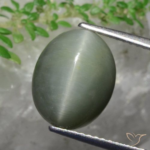5.82克拉天然石英猫眼，椭圆形，不透明