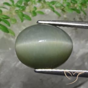5.82克拉天然石英猫眼，椭圆形，不透明