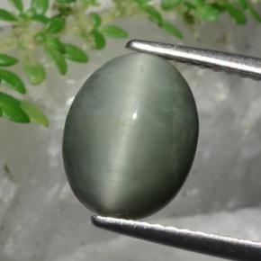 3.36克拉天然石英猫眼，椭圆形切割，不透明