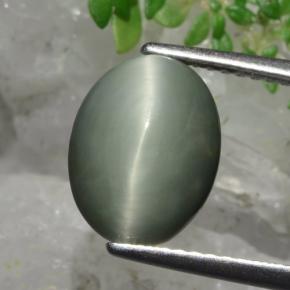 3.82克拉天然石英猫眼，椭圆形切割，不透明