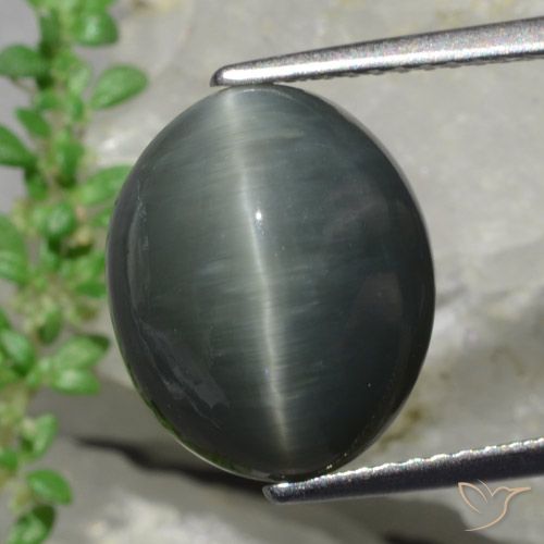 8.57克拉天然石英猫眼，椭圆形切割，不透明