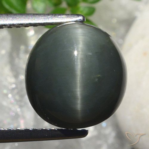6.82ct 天然 深灰色 石英猫眼, 椭圆形, 不透明