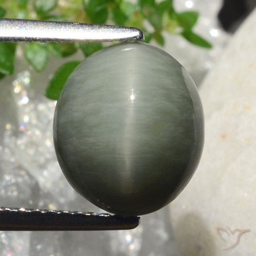 4.18ct 天然 中灰色 石英猫眼, 椭圆形, 不透明