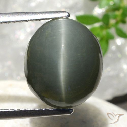 7.44ct 天然 中灰色 石英猫眼, 椭圆形, 不透明