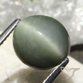 4.86克拉天然石英猫眼，椭圆形，不透明