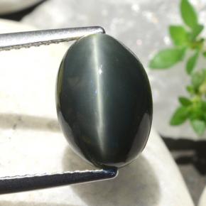 5.06克拉天然绿色Quartz Cat's Eye，椭圆形切割，11.5×8.3毫米，不透明