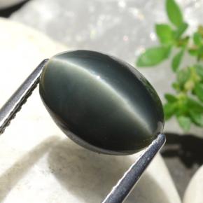 5.06克拉天然绿色Quartz Cat's Eye，椭圆形切割，11.5×8.3毫米，不透明