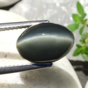 5.06克拉天然绿色Quartz Cat's Eye，椭圆形切割，11.5×8.3毫米，不透明