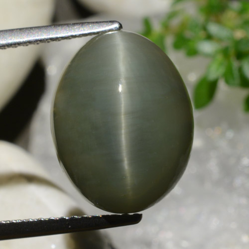 8.34克拉天然石英猫眼，椭圆形切割，不透明