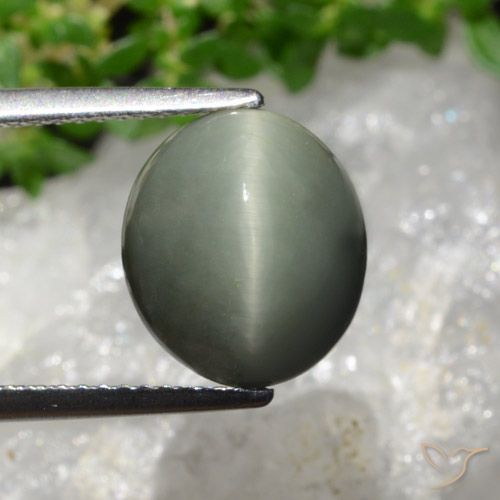 6.02ct 天然 绿灰色 石英猫眼, 椭圆形, 不透明