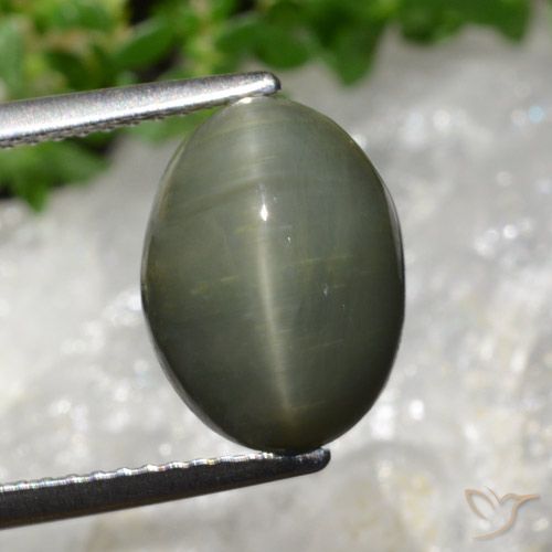 5.98ct 天然 中绿色 石英猫眼, 椭圆形, 不透明