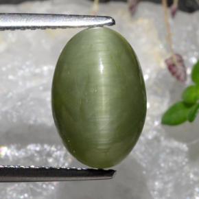 3.88克拉天然石英猫眼，椭圆形切割，不透明